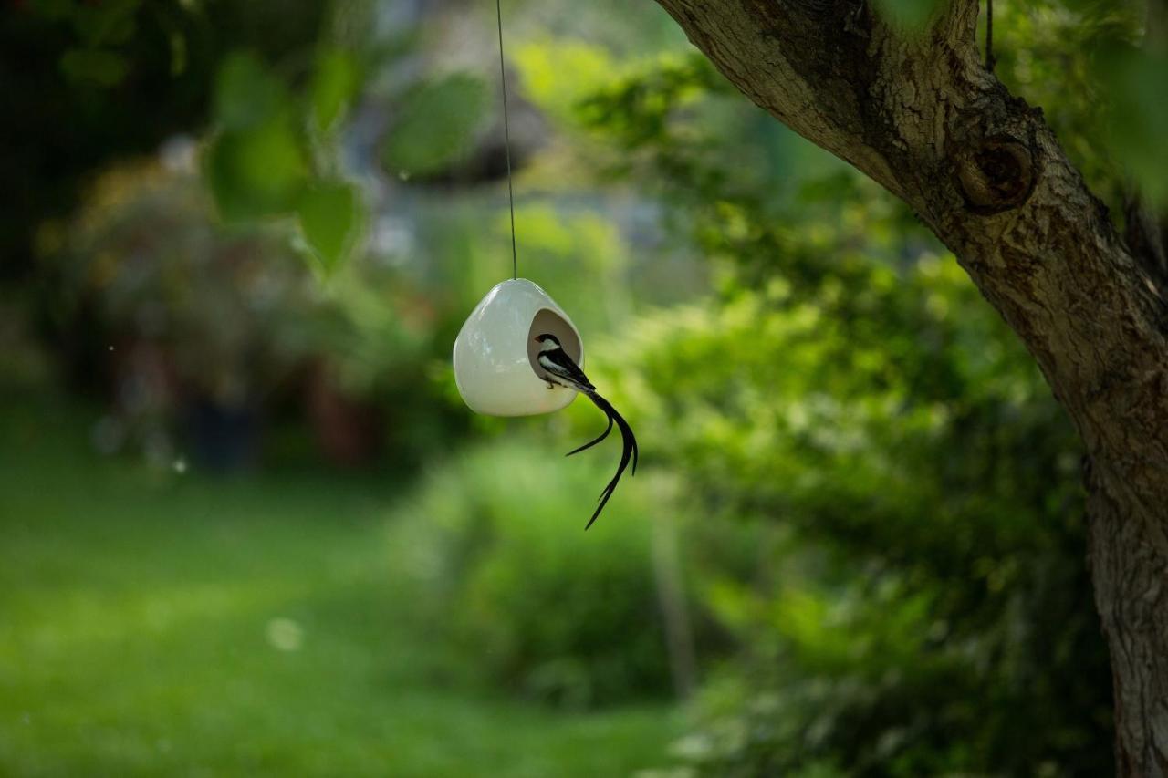 In Abundance Guest House มอนตากู ภายนอก รูปภาพ